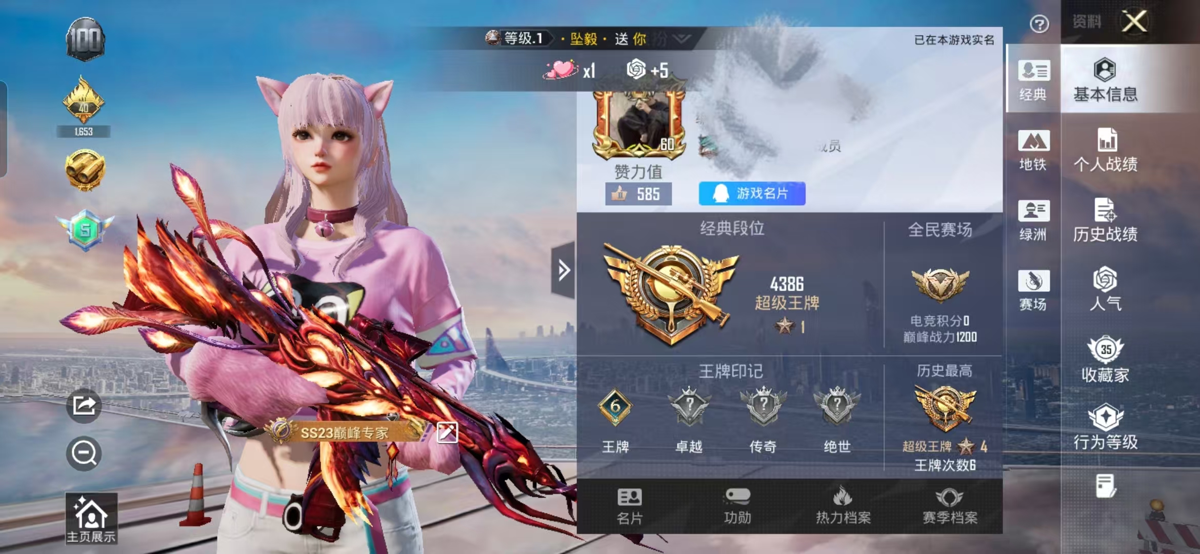 和平精英账号安卓QQ0载具-47套装-77枪皮-WMH473+【3粉装3特效枪 激萌罗小黑 风花雪月6级 梦之光华5级 